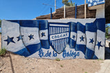 Godoy Cruz @ Malvinas Argentinas (Mendoza)