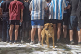 Godoy Cruz @ Malvinas Argentinas (Mendoza)