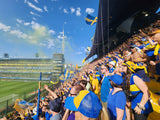 Boca Juniors game @ the Bombonera