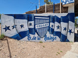 Godoy Cruz @ Malvinas Argentinas (Mendoza)