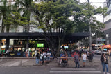 Fans gathering at a bar before a football match in colombia
