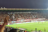 Supporters waving flags and chanting at a neutral stadium matchday