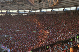 Flamengo fans at the stadium