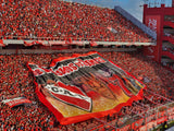 Large banner with Independiente logo displayed at a football match event in the Libertadores de America stadium filled with spectators