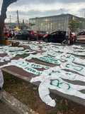 Game in São Paulo, Brazil: Palmeiras, Corinthians or Sao Paulo FC