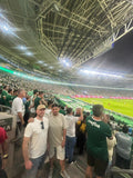Game in São Paulo, Brazil: Palmeiras, Corinthians or Sao Paulo FC